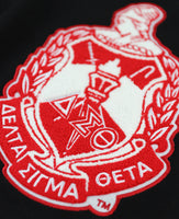 Delta Sigma Theta - VNeck Sweater (Black)