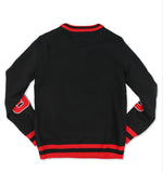 Delta Sigma Theta - VNeck Sweater (Black)