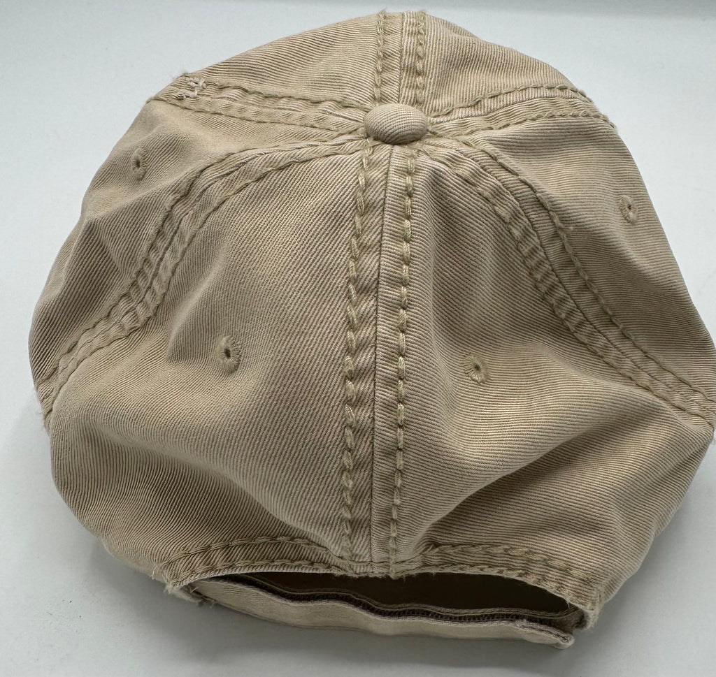 Alpha Kappa Alpha - Letters (Distressed/ Dad Cap)