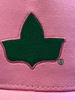 Alpha Kappa Alpha (Ivy Cap/Pink) Dagreekspot Original Collection