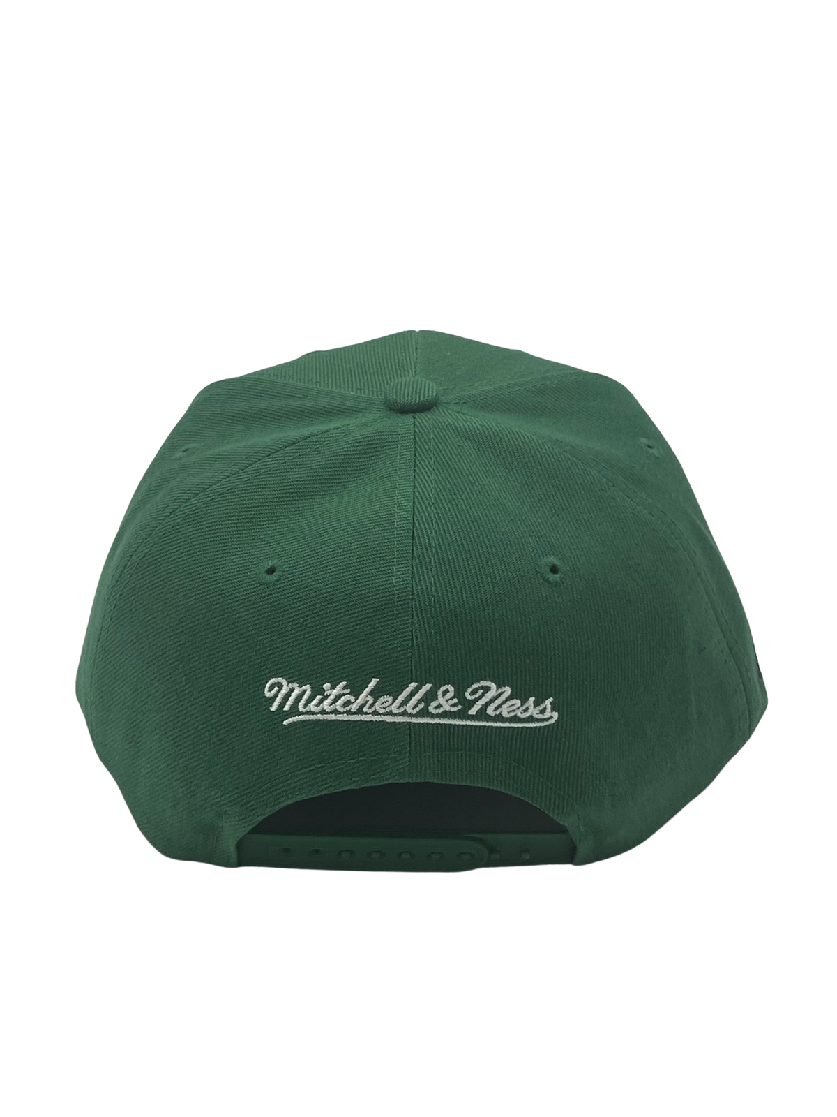 Florida A&M University - Snap Back (Green)