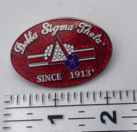 Delta Sigma Theta - Oval Sparkly  2”Lapel Pin