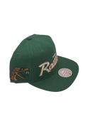 Florida A&M University - Snap Back (Green)