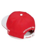 Delta Sigma Theta - Adjustable Baseball Cap (Letters/Red)