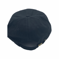 Delta Sigma Theta -  Dad Hats (Black)