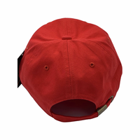 Delta Sigma Theta -  Dad Hat (Red)