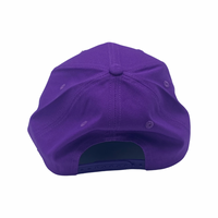 Omega Psi Phi - Baseball Cap (Purple)