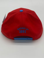 Delaware State University - Snap Back Cap